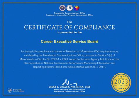 career executive service board|REVISED INTEGRATED RULES ON THE GRANT OF CAREER .